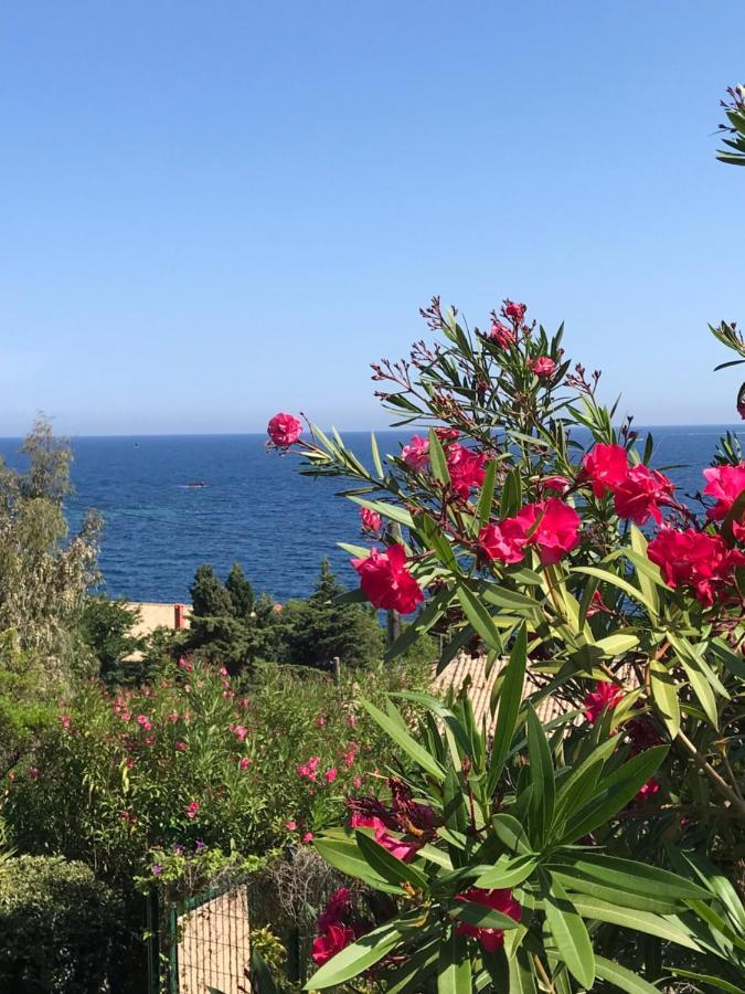 Villa Elisabeth Saint-Raphael Екстериор снимка